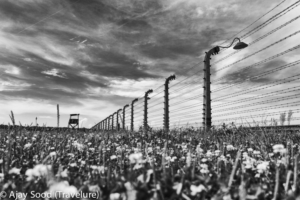 Auschwitz - A Moving Photo Essay