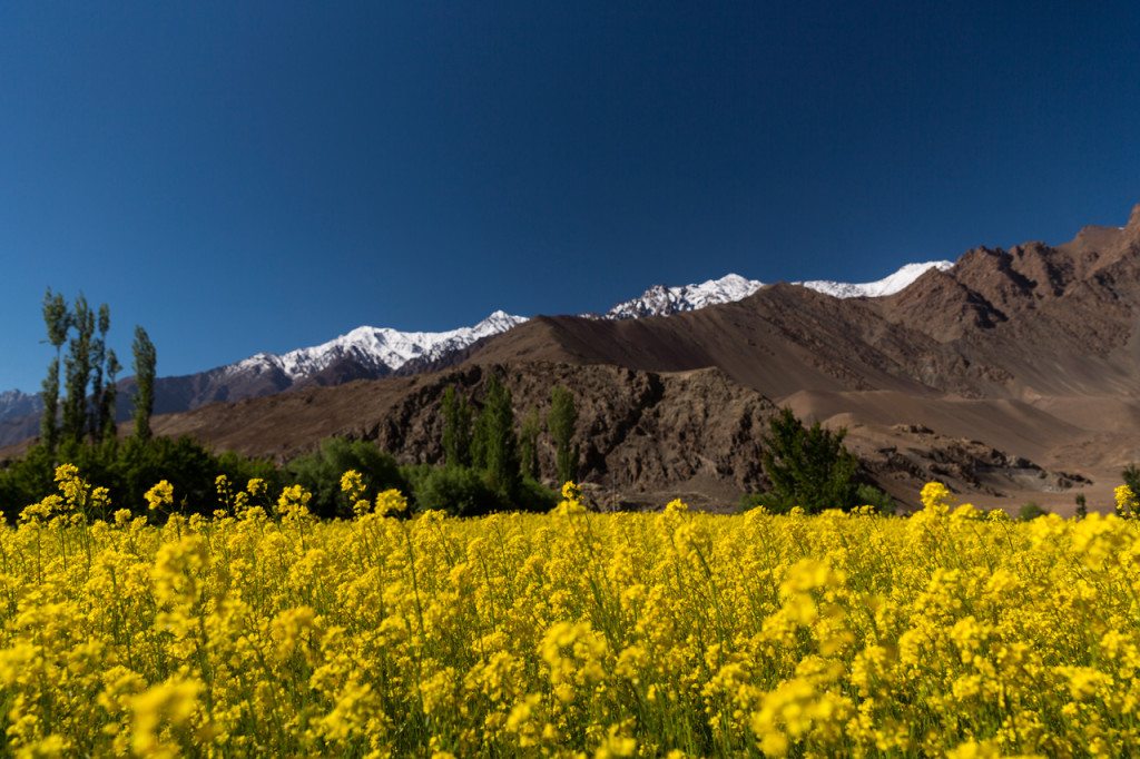 Ladakh – A Travel Photographer’s Delight