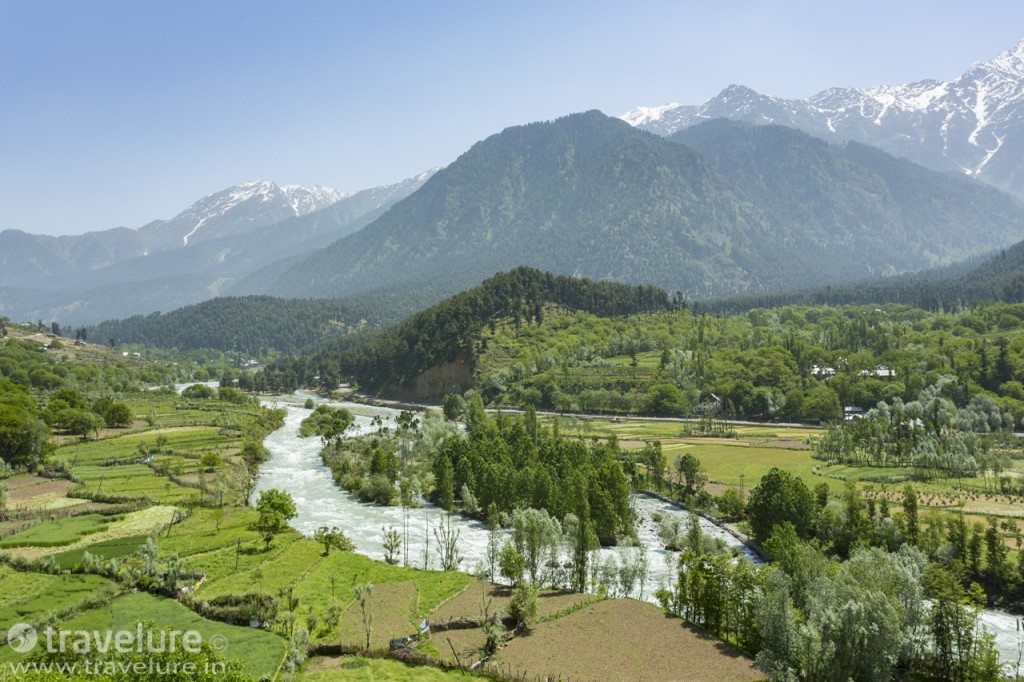 Nature’s Own Exotica - Pahalgam