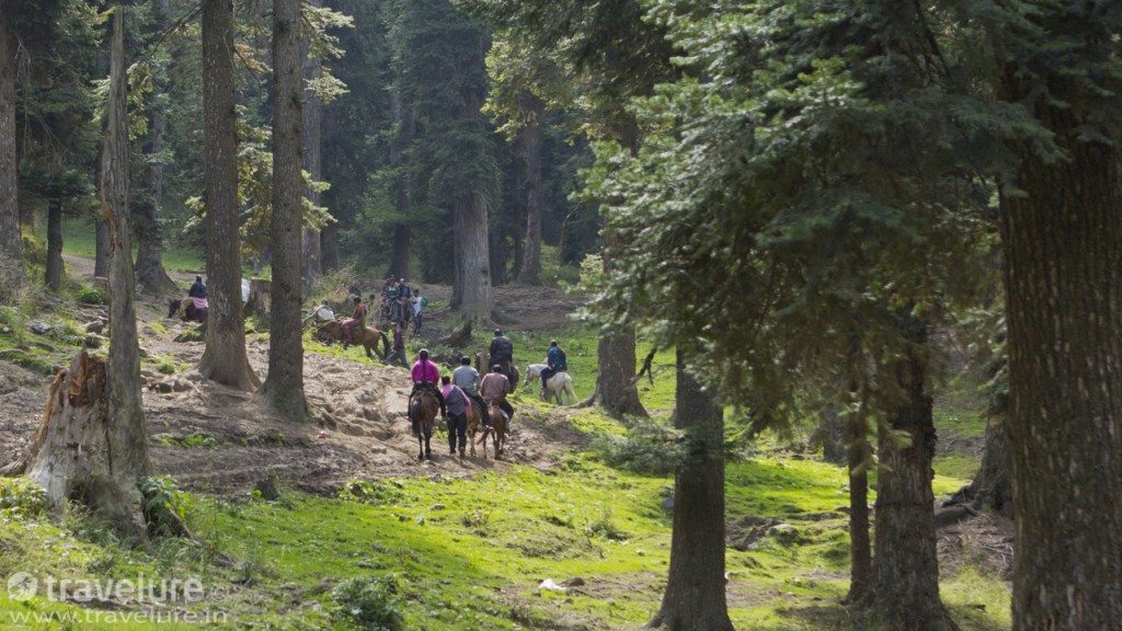 Nature’s Own Exotica - Pahalgam