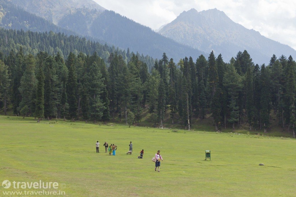 Nature’s Own Exotica - Pahalgam