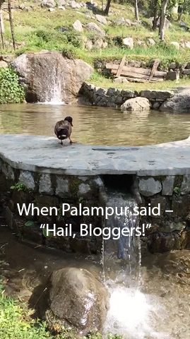 When Palampur said – “Hail, Bloggers!”