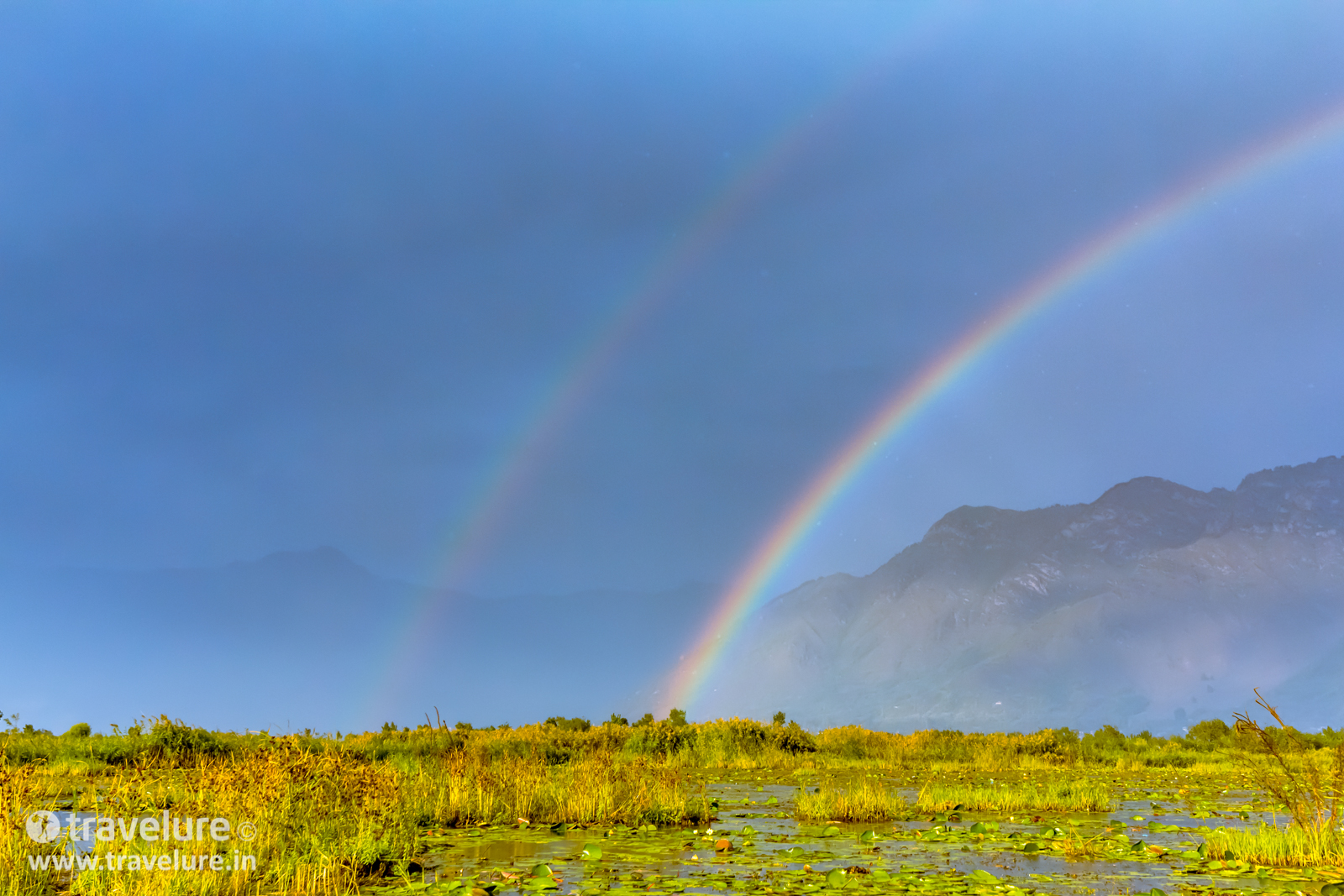 Romancing India's Best Loved Lake - Dal Lake