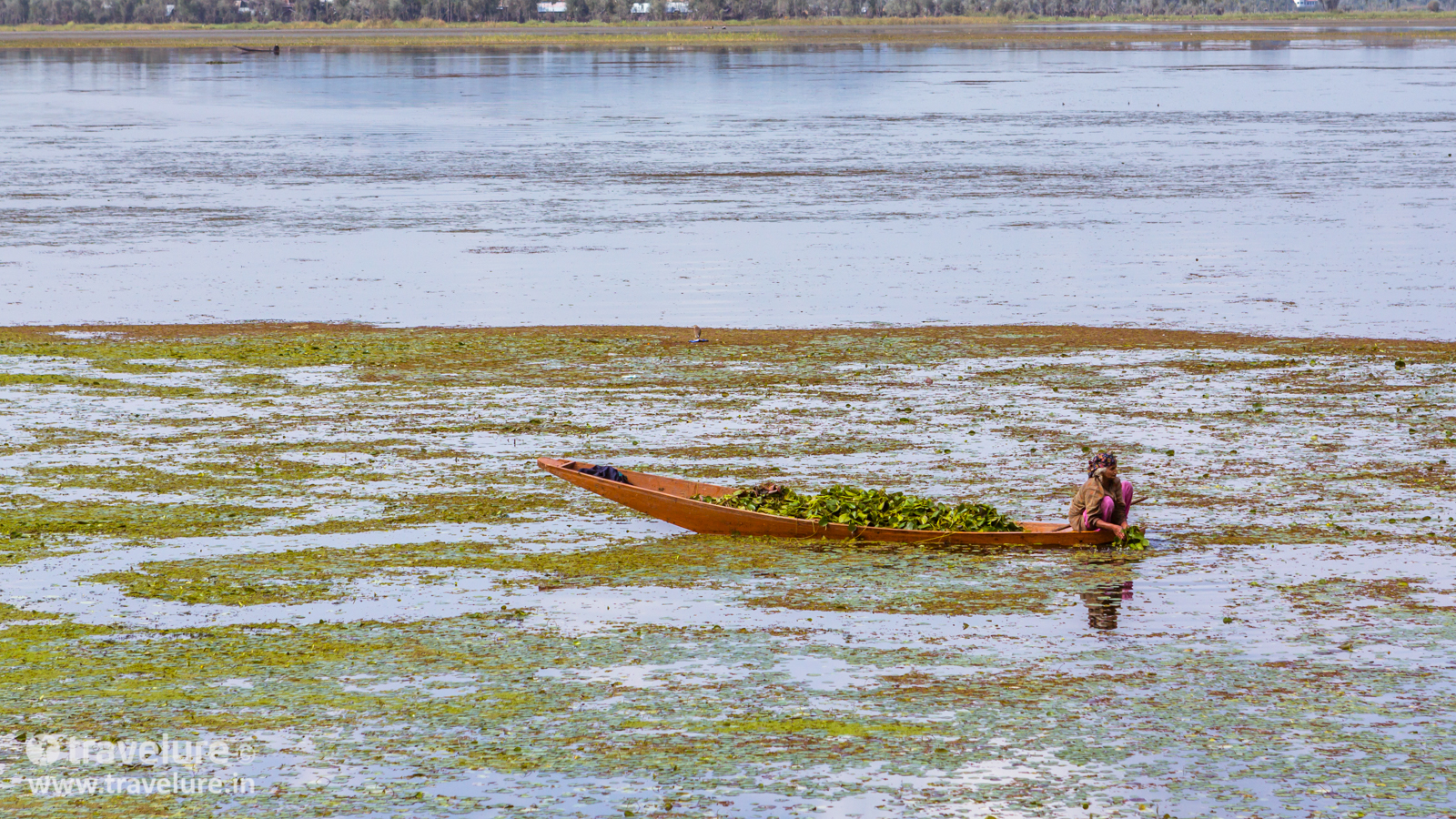 Romancing India's Best Loved Lake - Dal Lake