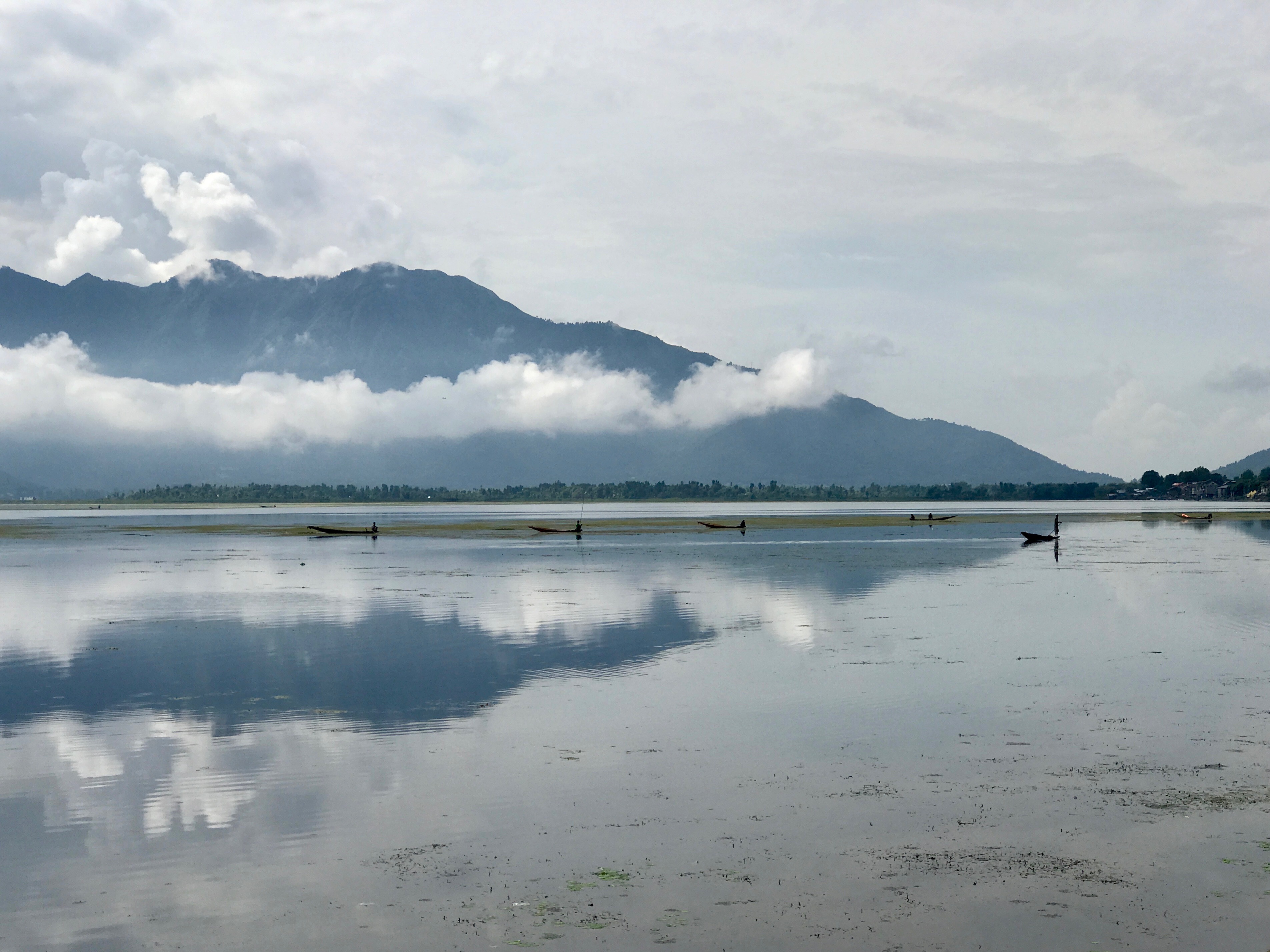 Romancing India's Best Loved Lake - Dal Lake