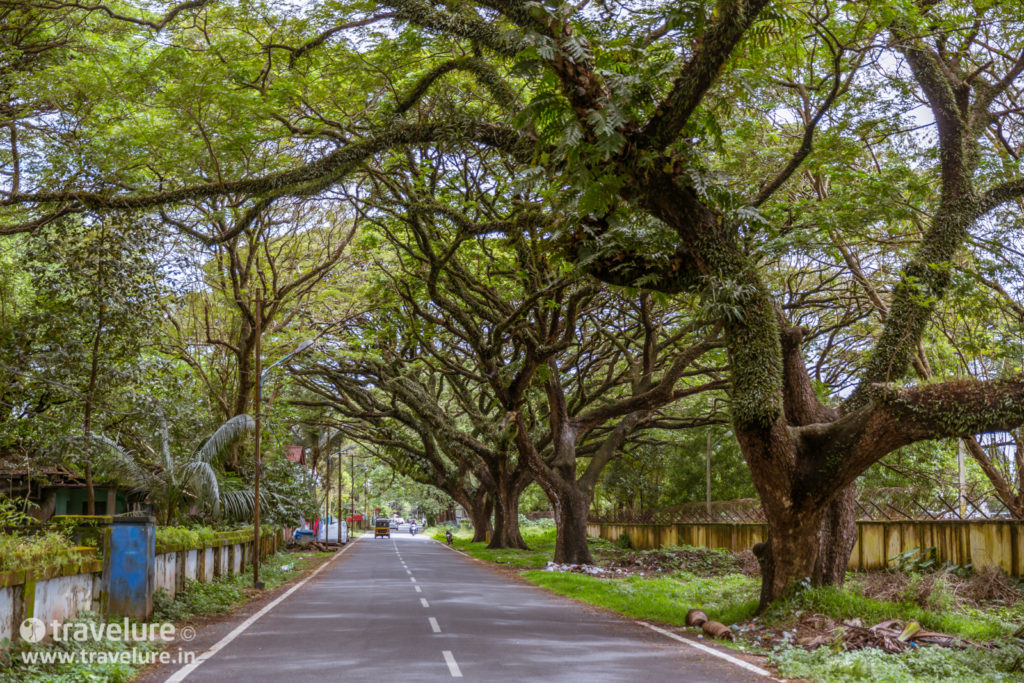 Discovering Kochi During Onam