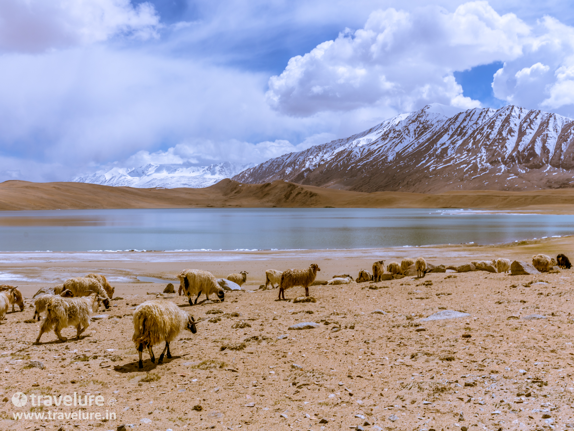 Ladakh - World's Highest Desert - Instagram Roundup