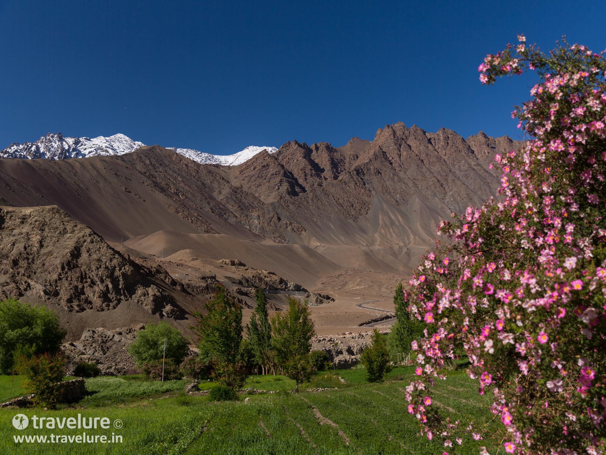 Ladakh - World's Highest Desert - Instagram Roundup