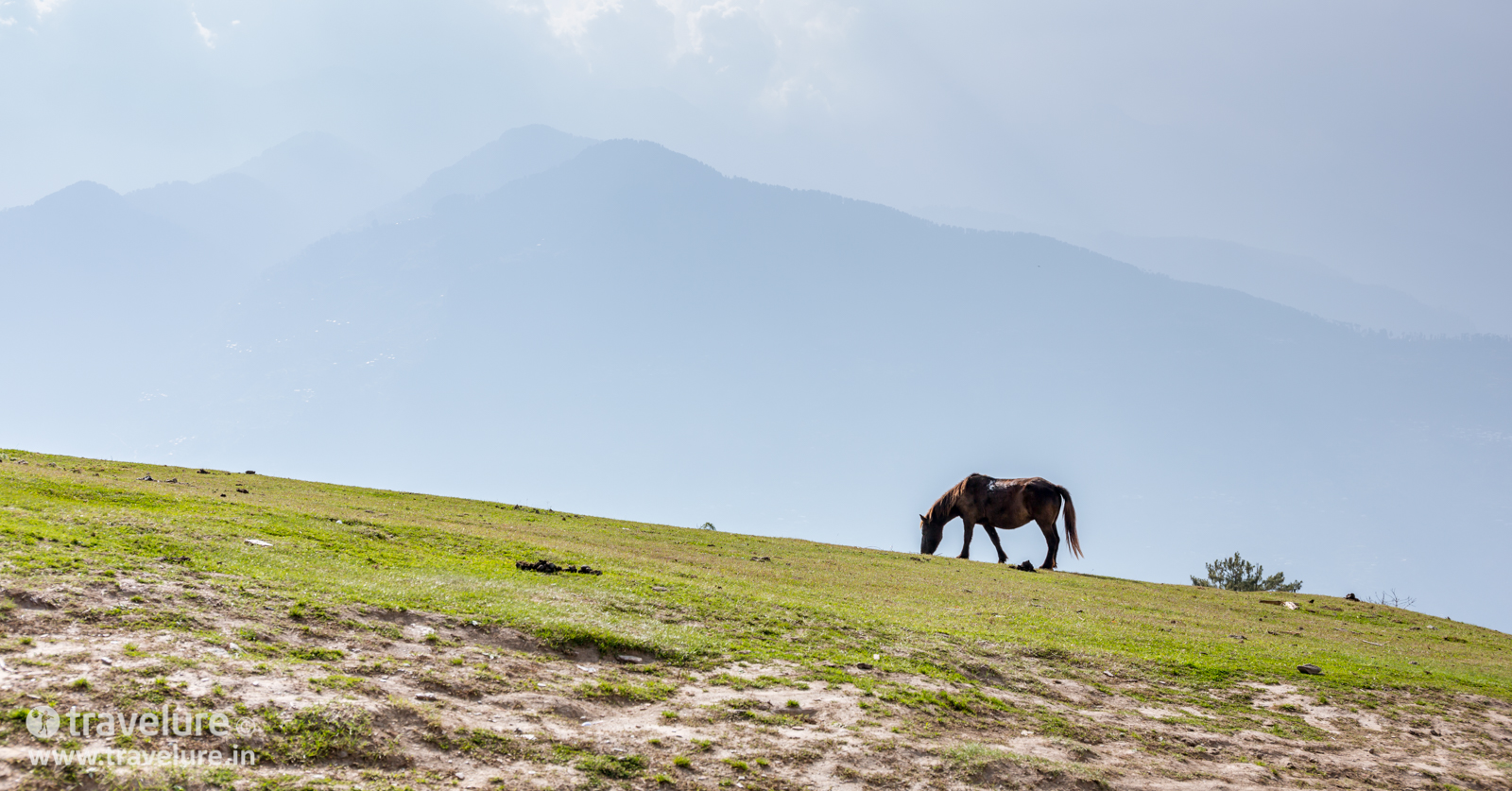 We even found a horse up there as we finished the Bijli Mahadev Trek – Kullu Attraction