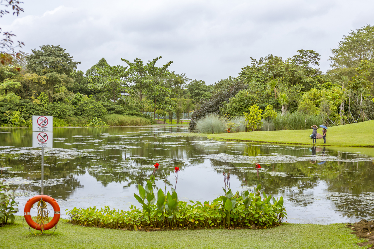 Singapore Botanic Gardens - A Forest in the City that is truly beautiful