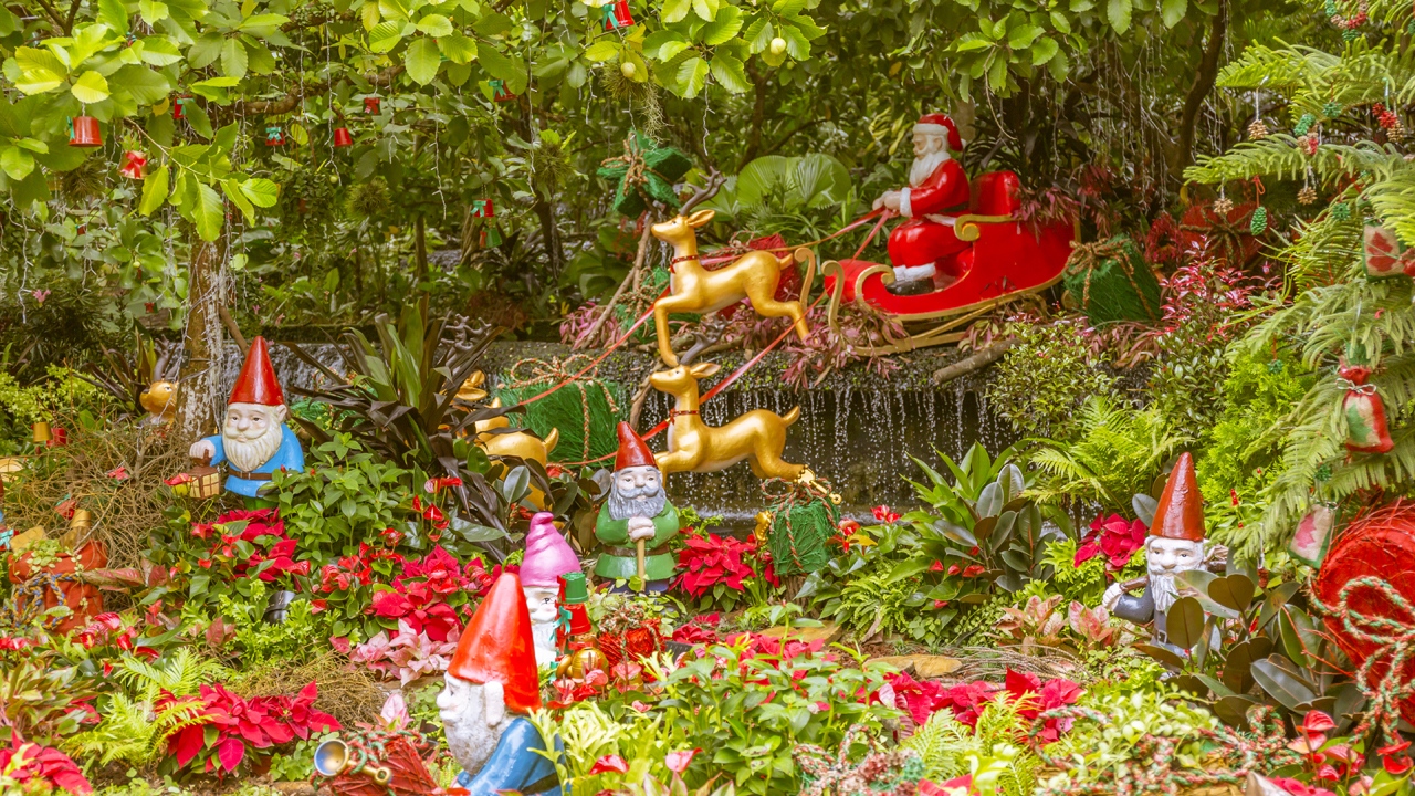 Singapore Botanic Gardens - A Forest in the City that decks up for Christmas