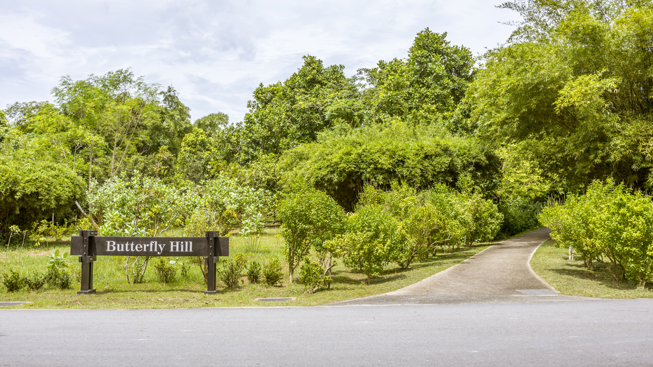 Pulau Ubin - Back to the Roots - Last Kampung of Singapore