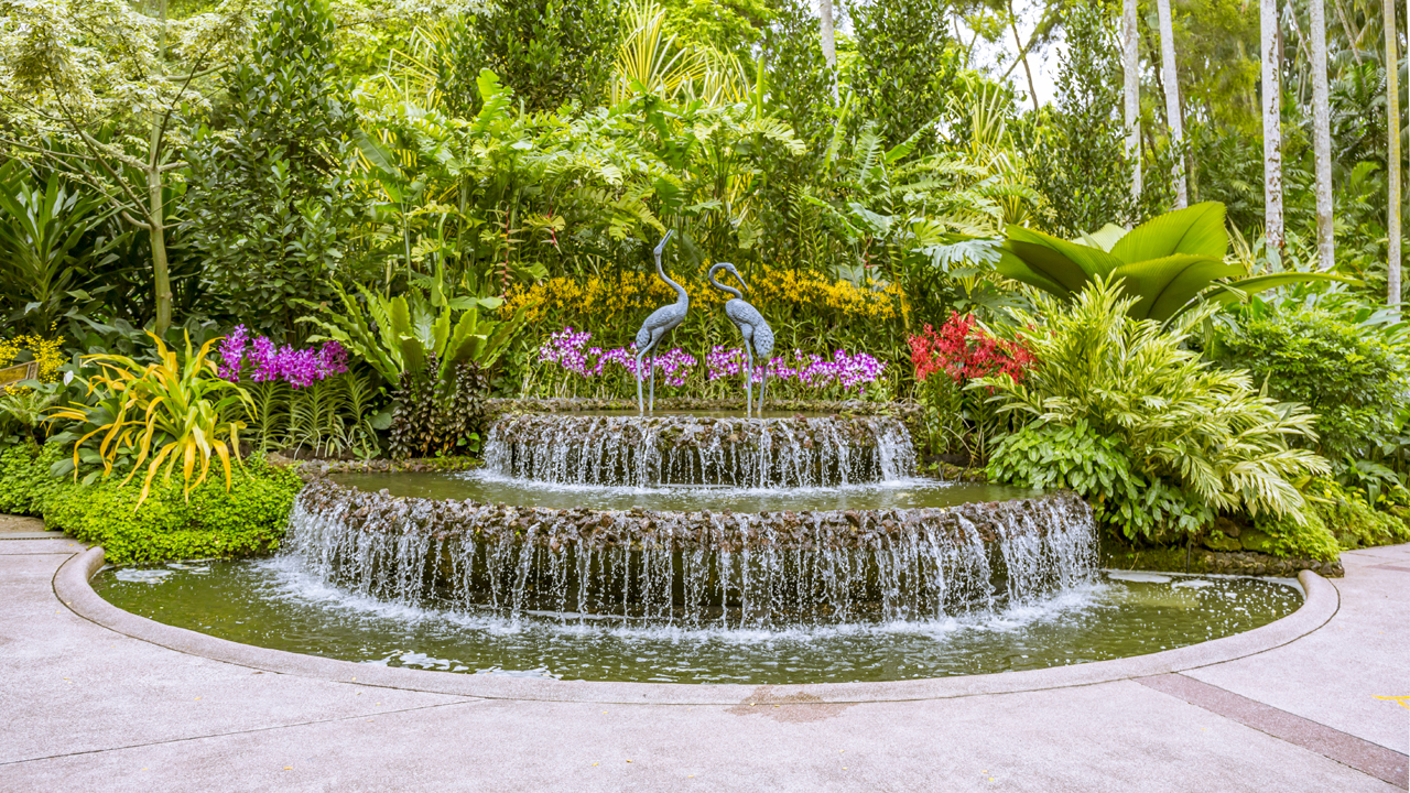 Singapore Botanic Gardens - A Forest in the City with fountains