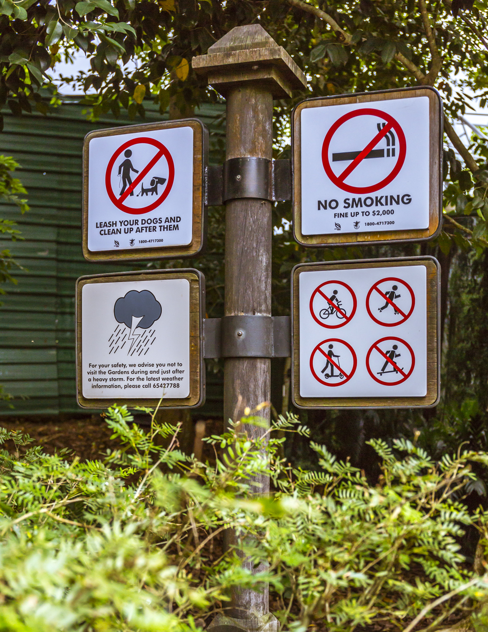 Singapore Botanic Gardens - A Forest in the City that imposes fines