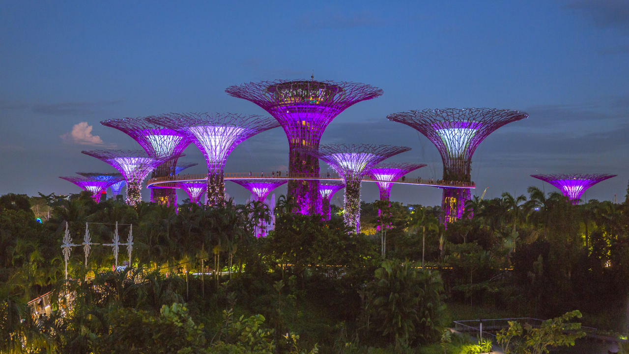 Supertree Grove - Singapore Super Structures to Look up to