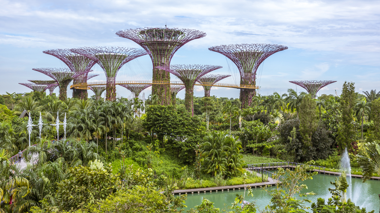 Supertree Grove - Singapore Super Structures to Look up to