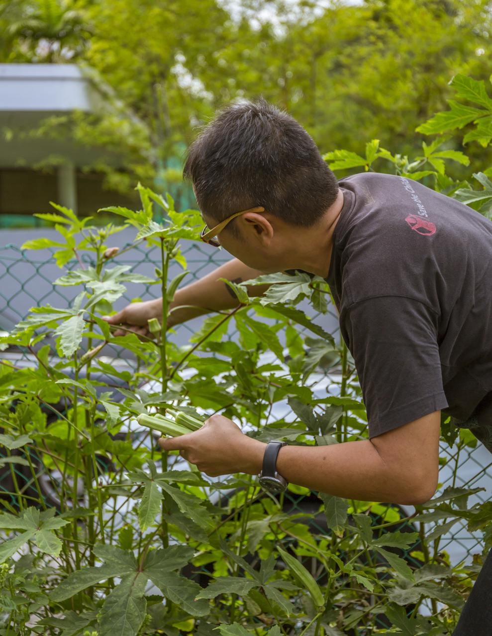 The urban farmer at One Kind House - A Zig and a Zag