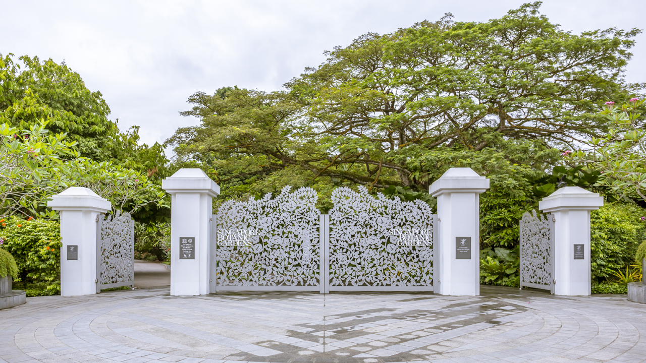 Singapore Botanic Gardens - Entrance to a Forest in the City