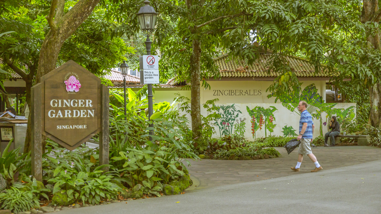 Singapore Botanic Gardens - A Forest in the City