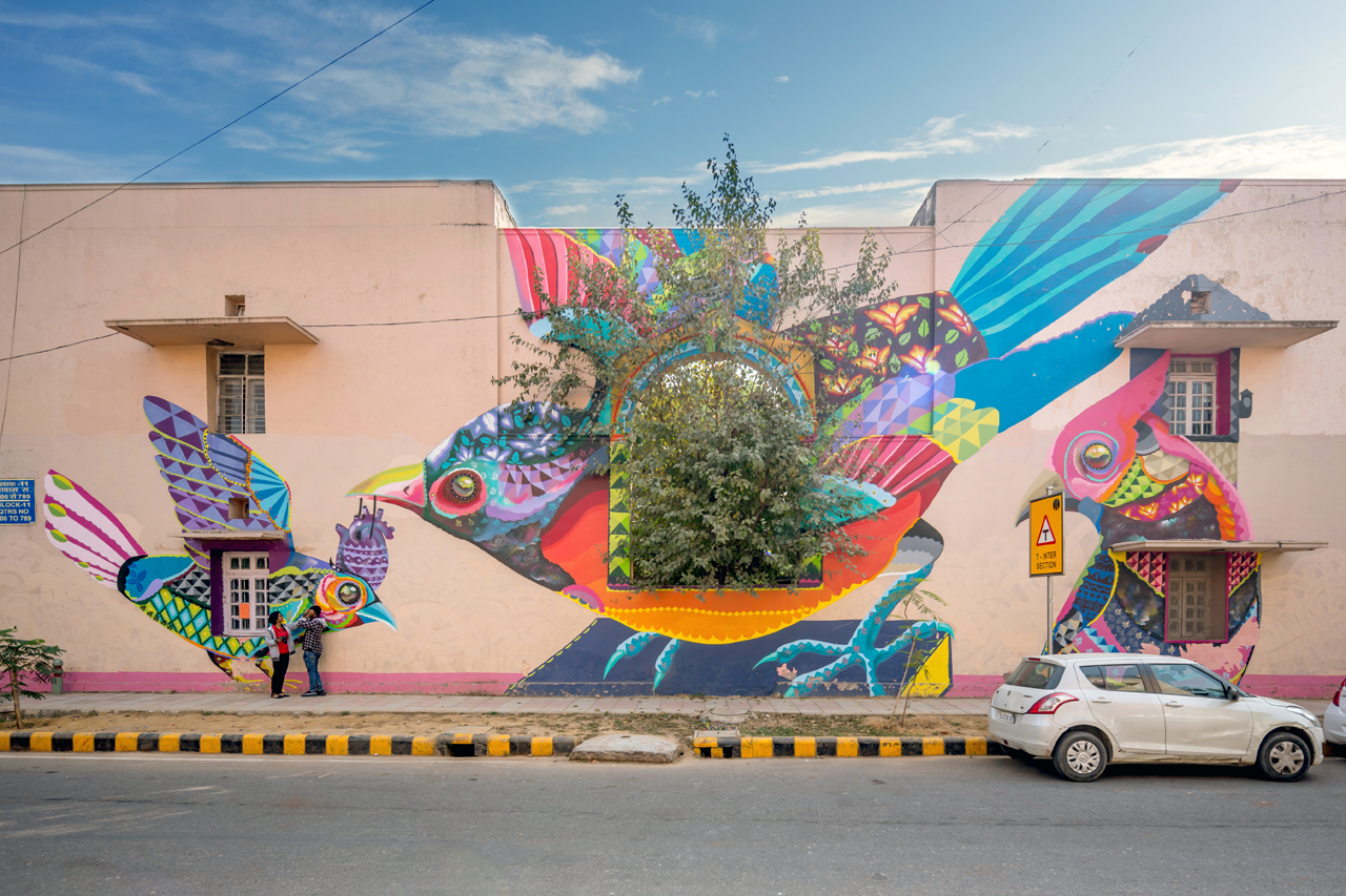 Colourful birds in nature's backdrop - The City Is Their Canvas