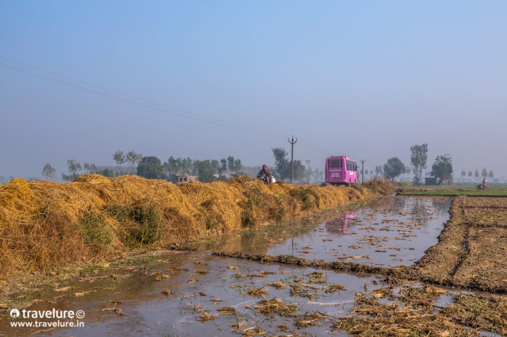 Entering Kotla Sultan Singh - Unexplored India Series - Kotla Sultan Singh - A Voyage of Emotions