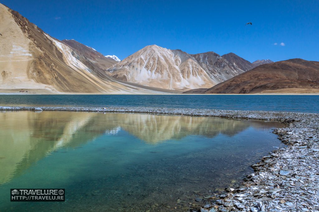 Calm and placid, turquoise and blue, Pangong Tso