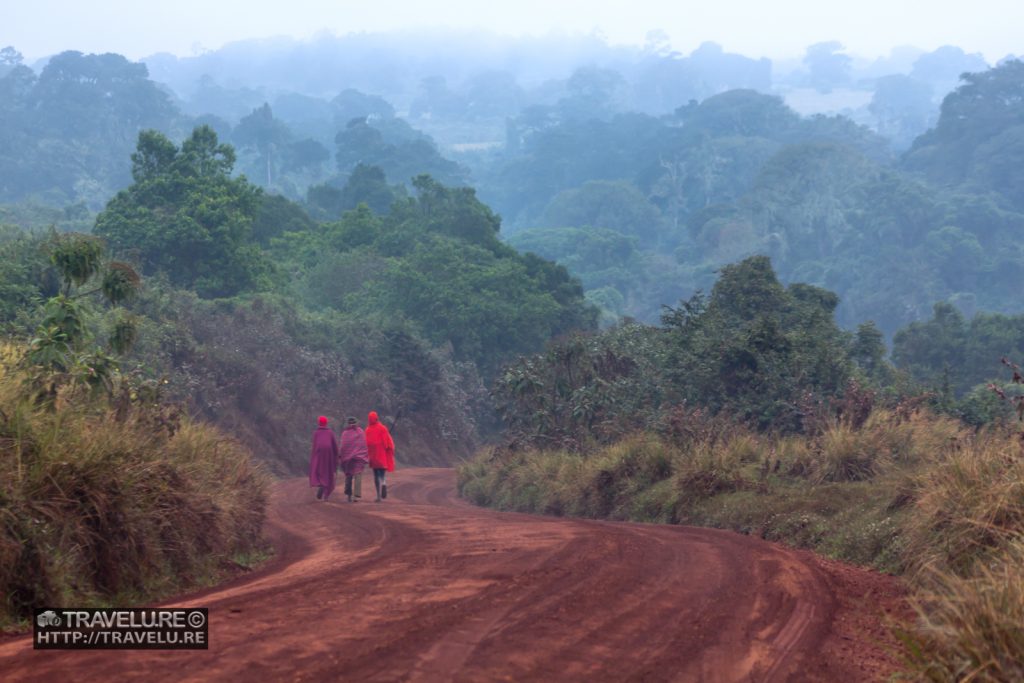 Masai people walk in Ngorongoro - a peaceful coexistence