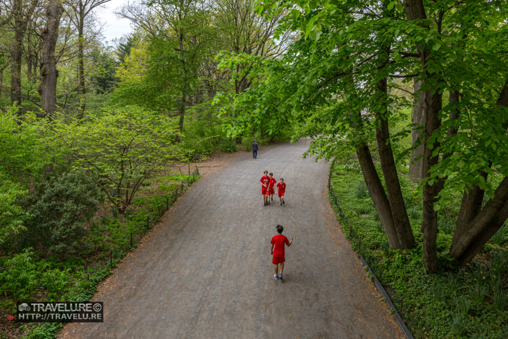 Walking, jogging, and bicycling path inside the Central Park - Travelure ©