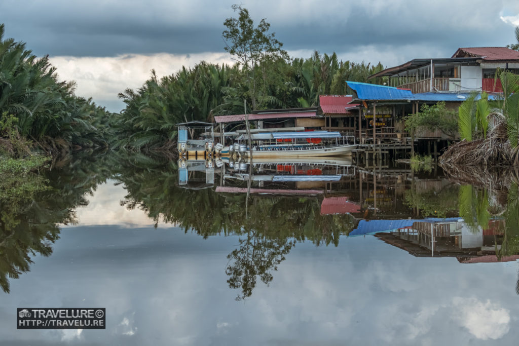 Mangroves around River Klias, Sabah, Borneo - Travelure ©