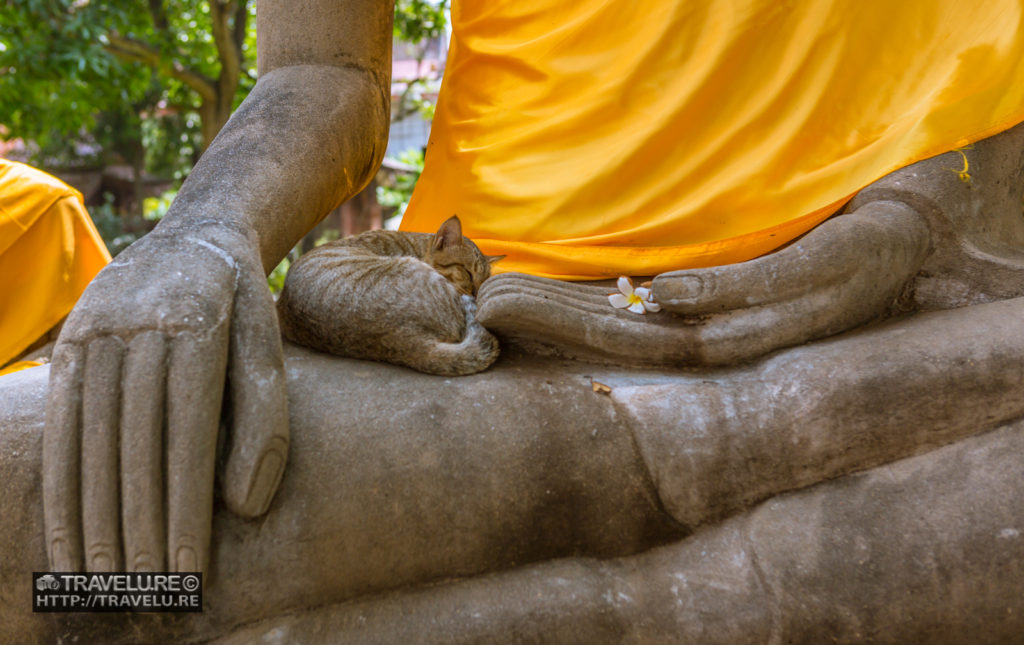 Buddha, the protector - Travelure ©