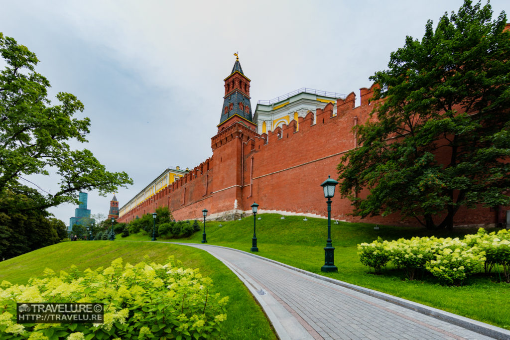 Stepping out of the Kremlin, these blooms captivated me - Travelure ©