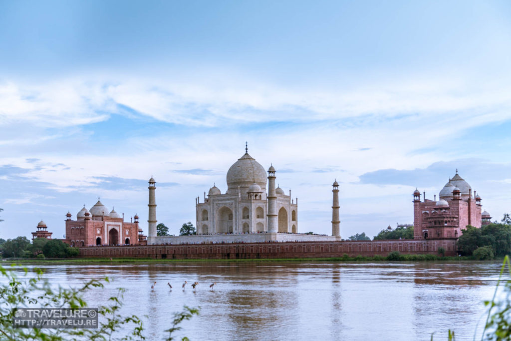 Taj Mahal viewed from across the river Yamuna - Travelure ©