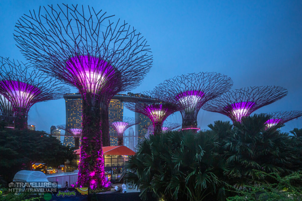 SuperTree Grove, Gardens by the Bay, Singapore - The Beauty of the Blue Hour - Travelure ©