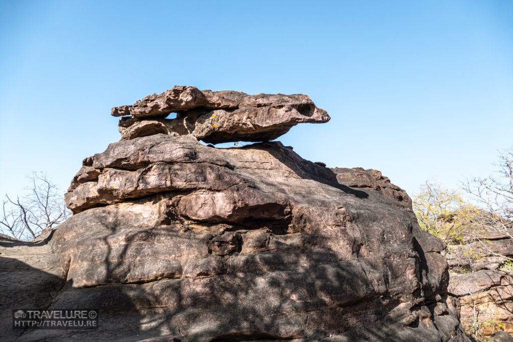 And, here's the frog!  - Bhimbetka: My Early Days of Photography - Travelure ©