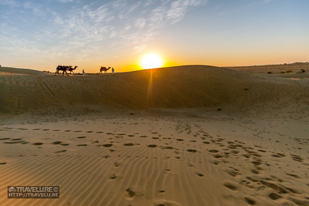 Shot #5: Camels on the horizon, Jaisalmer, Rajasthan. EXIF: ISO 100; Focal Length 10mm; Aperture f/3.5; Shutter Speed 1/640. - Capturing a landscape - Travelure ©