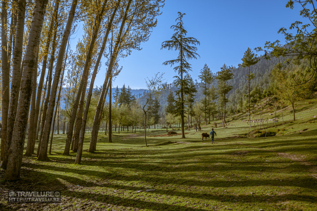 Shot #4: A child runs after his cattle in Lolab Valley, Kashmir. EXIF: ISO 100; Focal Length 24mm; Aperture f/5; Shutter Speed 1/125. - Capturing a landscape - Travelure ©