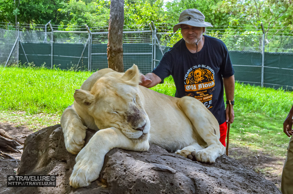 That's me, patting a lion! - Travelure ©